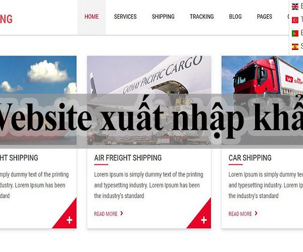 thiết kế website xuất nhập khẩu