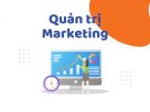 Quản trị Marketing là gì? Vai trò của quản trị đối với doanh nghiệp
