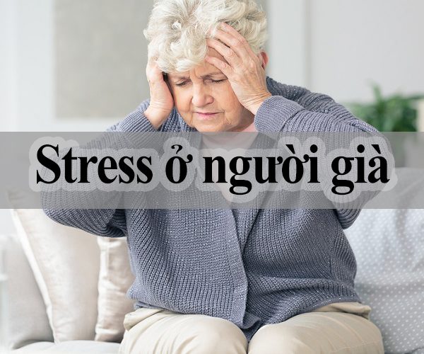 stress ở người già