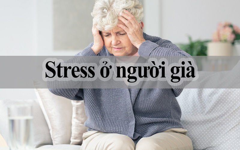 stress ở người già