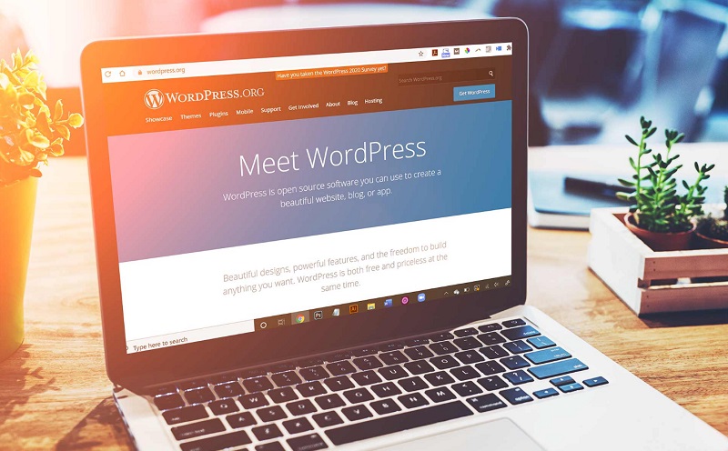 ưu điểm của website wordpress