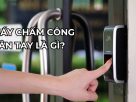 Máy Chấm Công Vân Tay Là Gì? Các Loại Máy Chấm Công Phổ Biến Hiện Nay