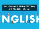 Tầm Quan Trọng Của Các Chứng Chỉ Tiếng Anh Phổ Biến Hiện Nay